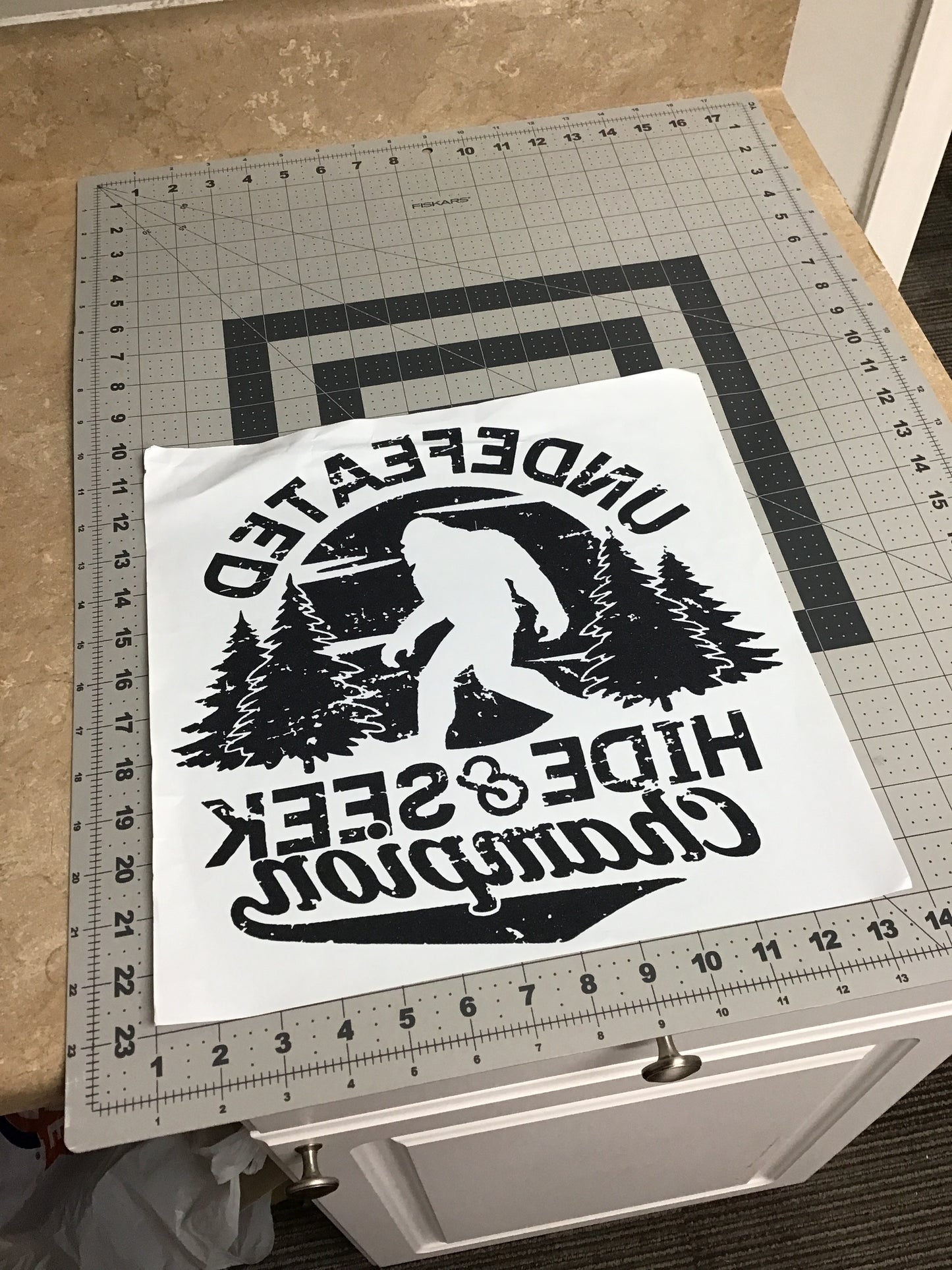 Undefeated Hide and Seek Champion