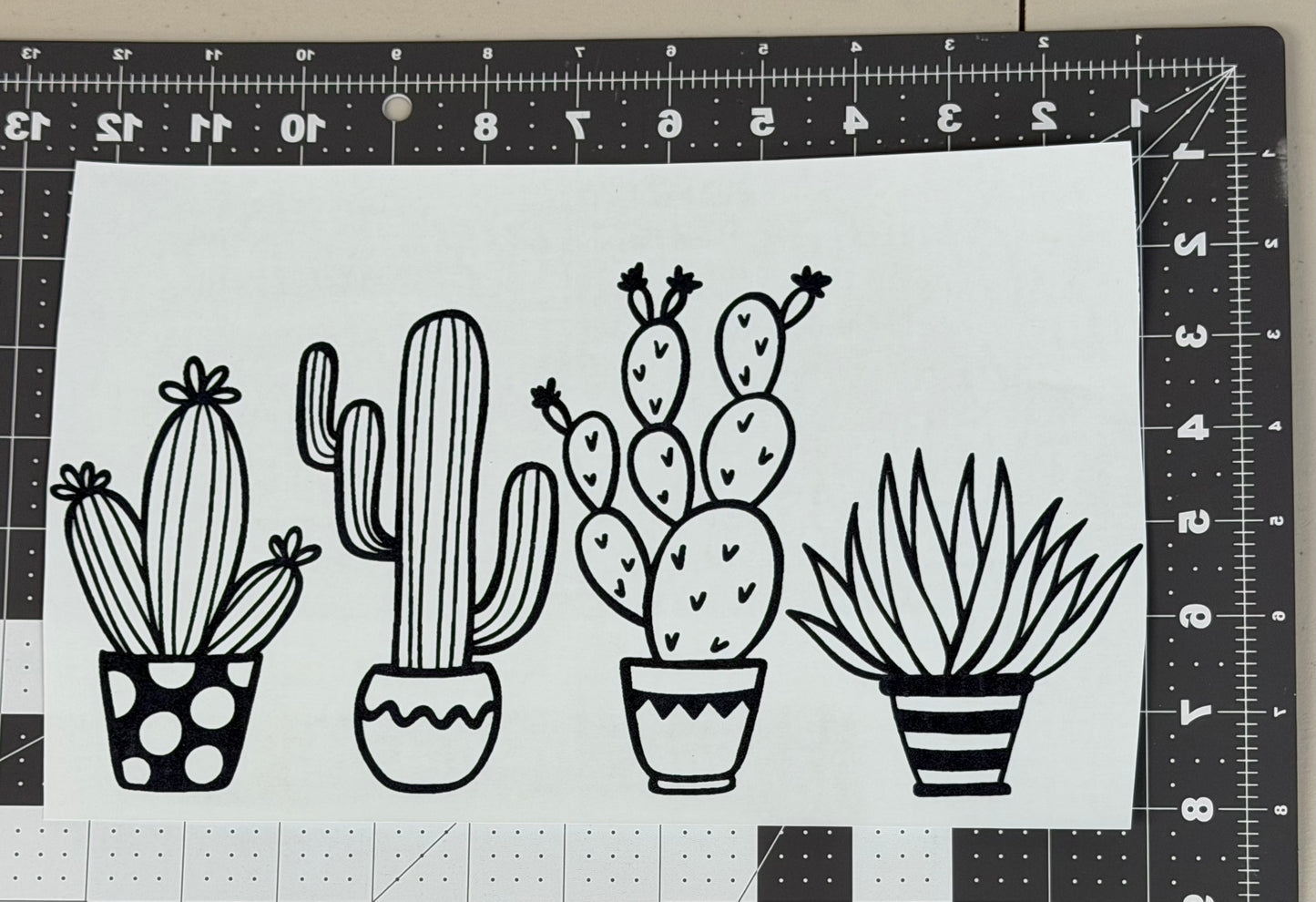 Cacti