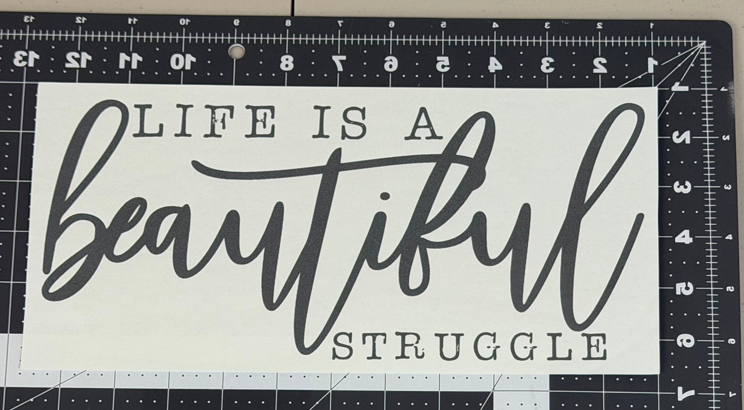 Life is A Beautiful Struggle