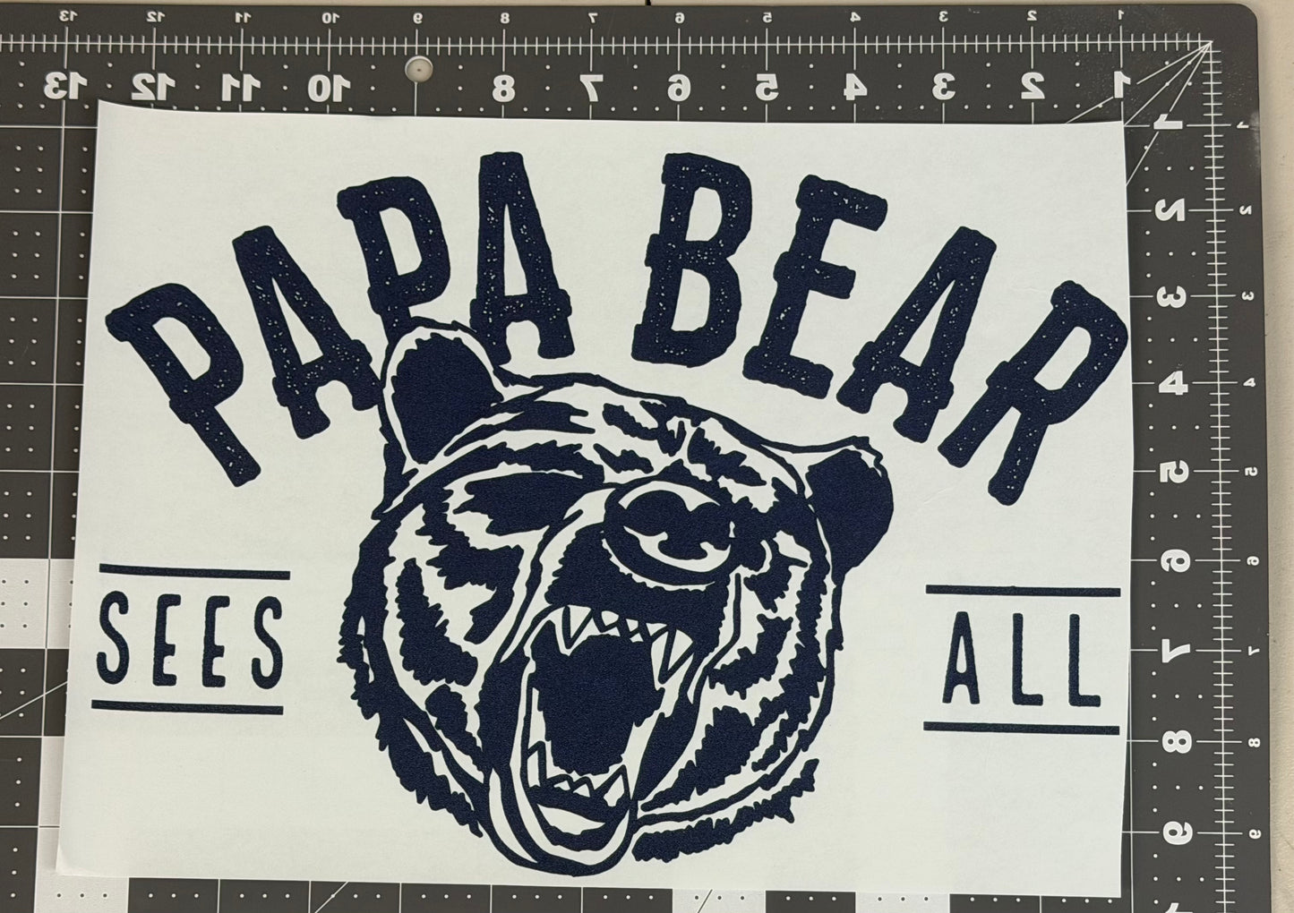 Papa Bear Sees All