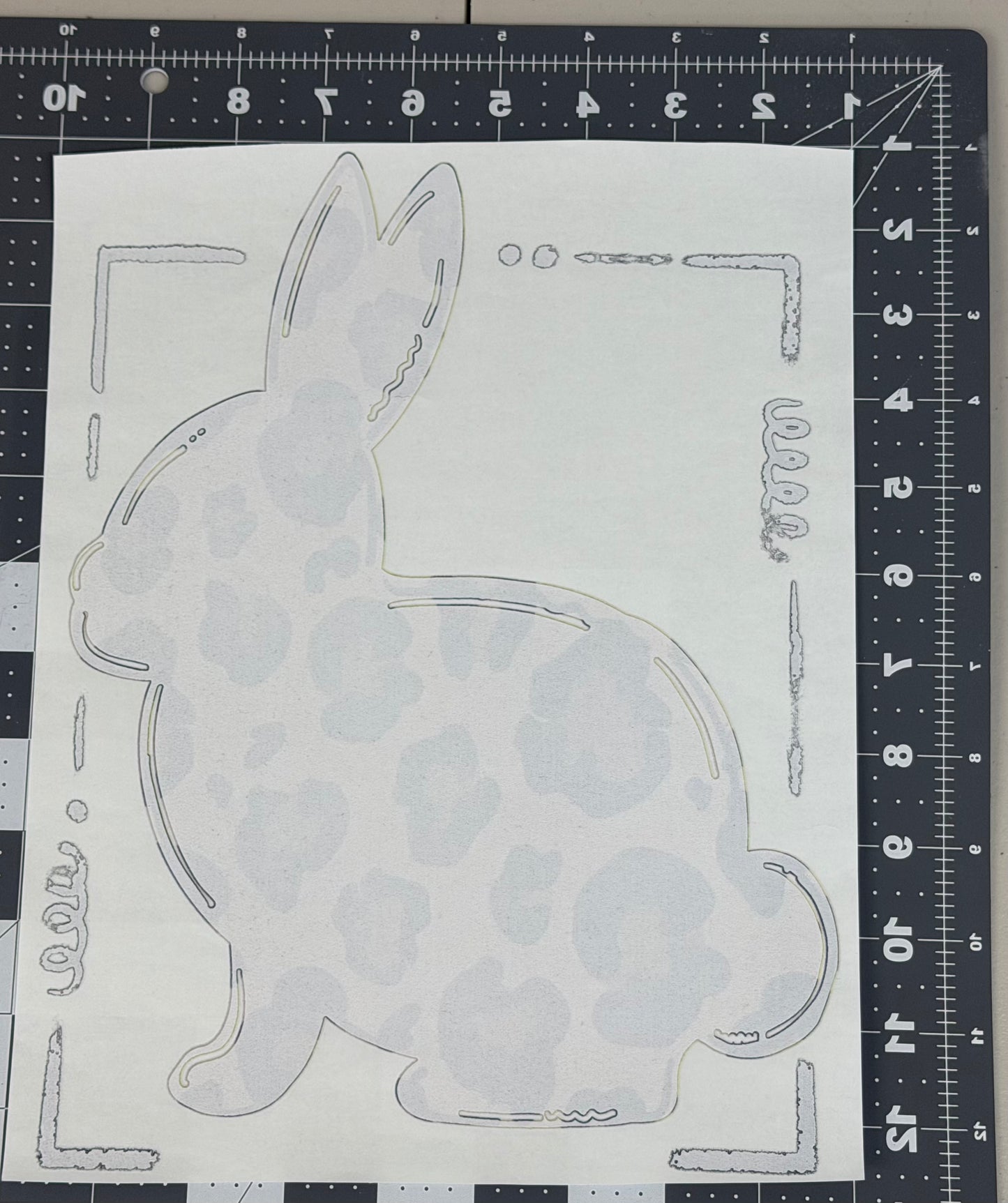 Leopard Bunny
