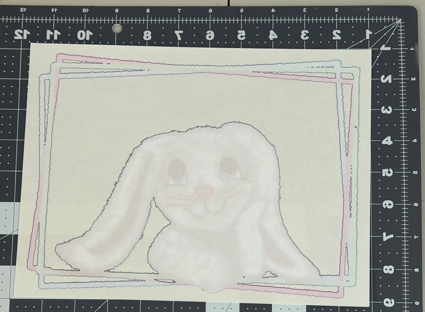 Colorful Bunny