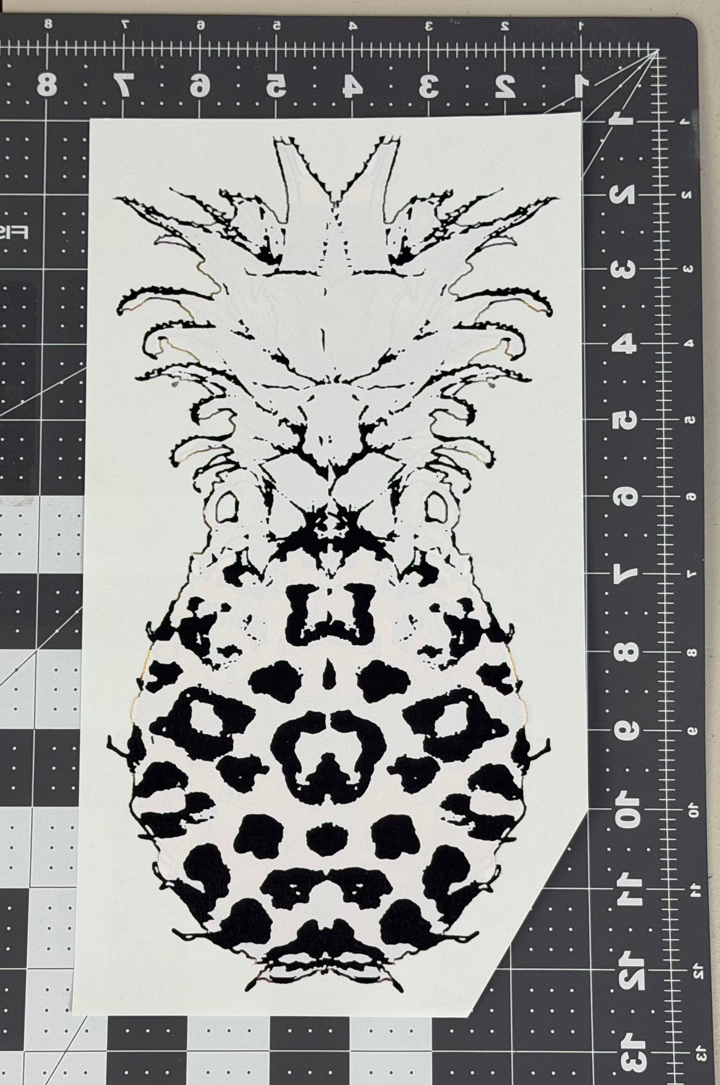 'Hairy' Pineapple