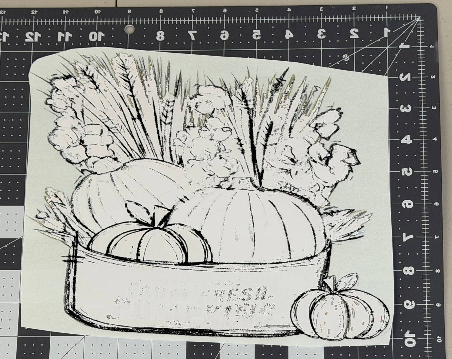Farm Fresh Pumpkins