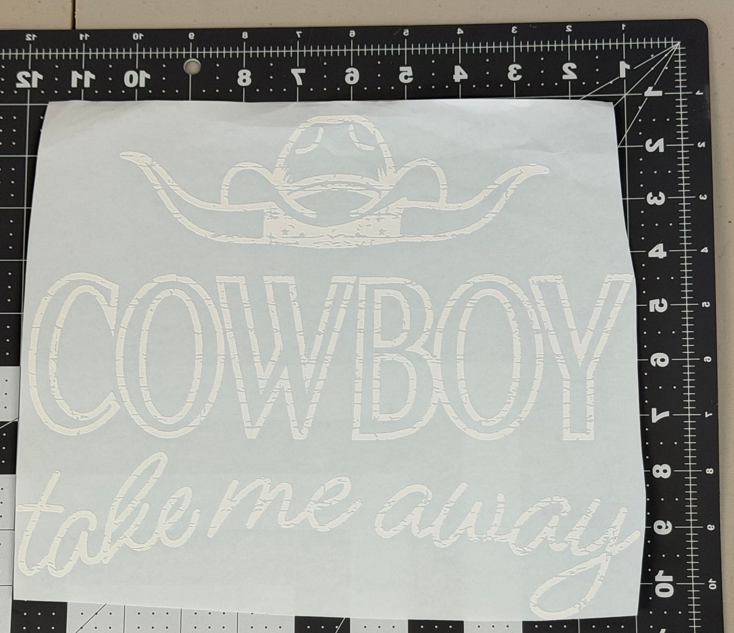 Cowboy Take Me Away