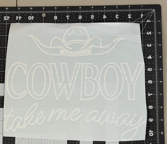 Cowboy Take Me Away
