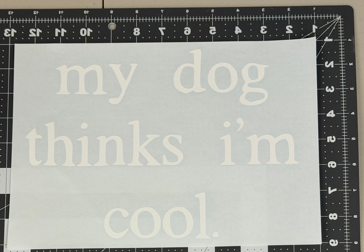 My Dog Thinks I'm Cool