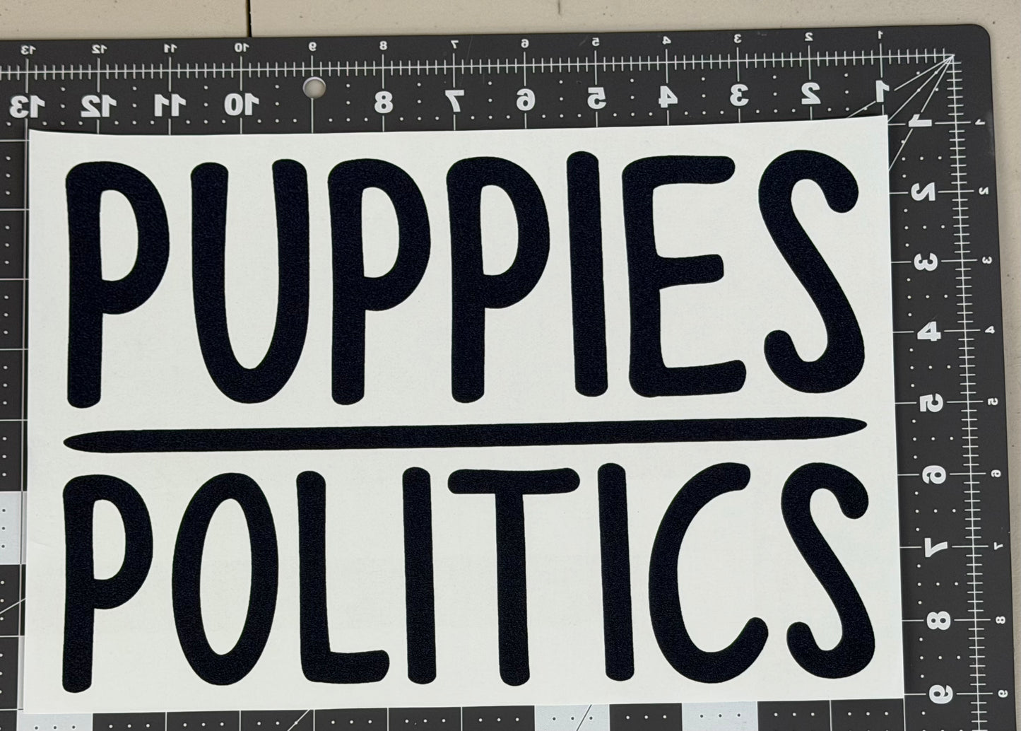 Puppies/Politics