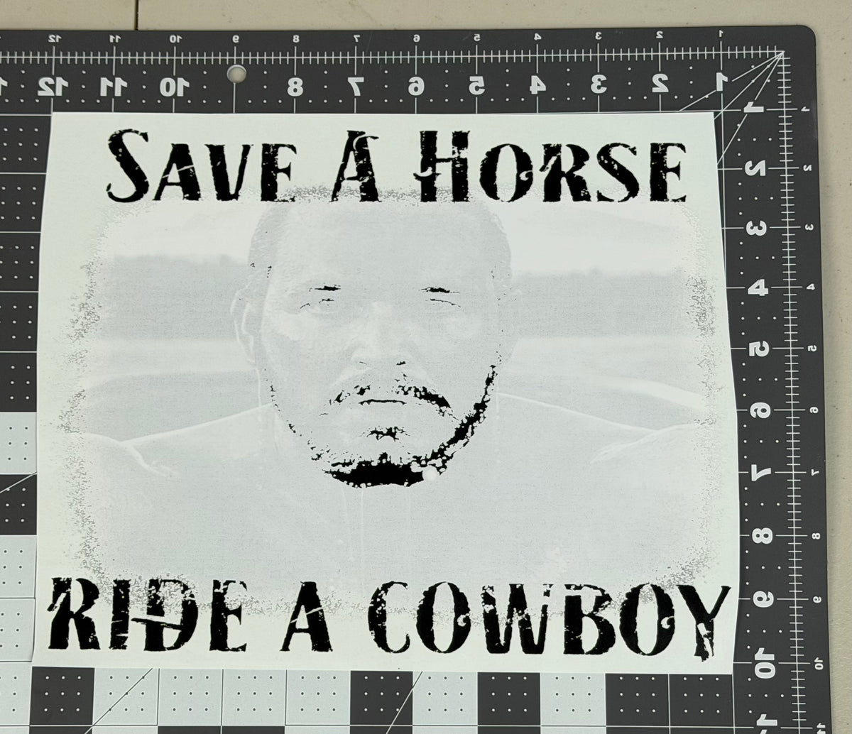 Save A Horse