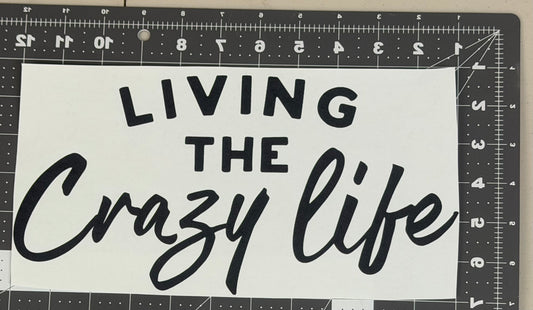 Crazy Life