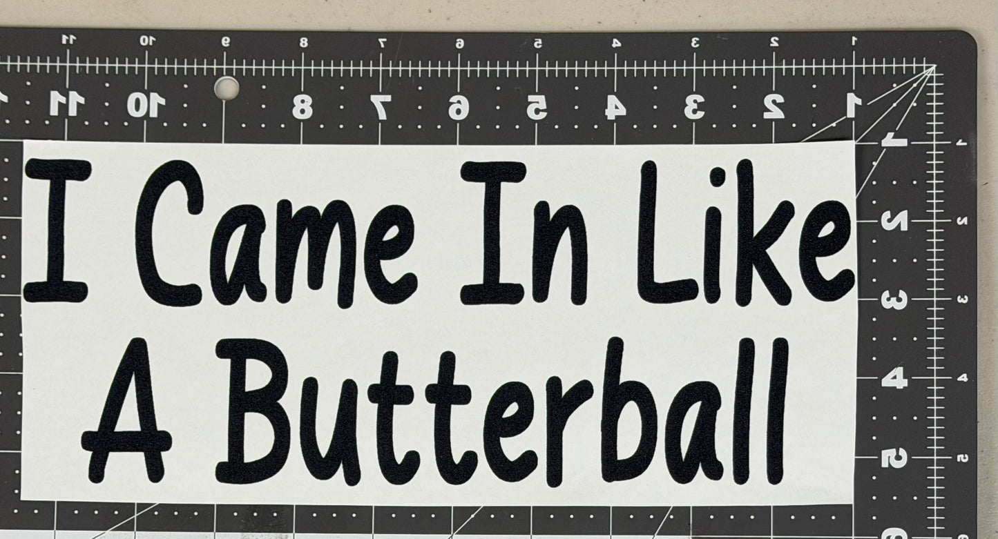 I Came in Like A Butterball