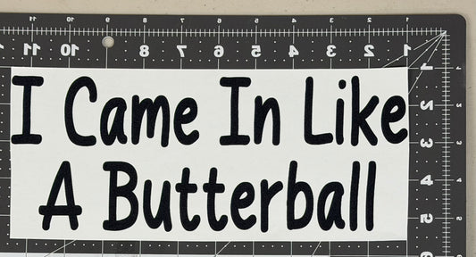 I Came in Like A Butterball