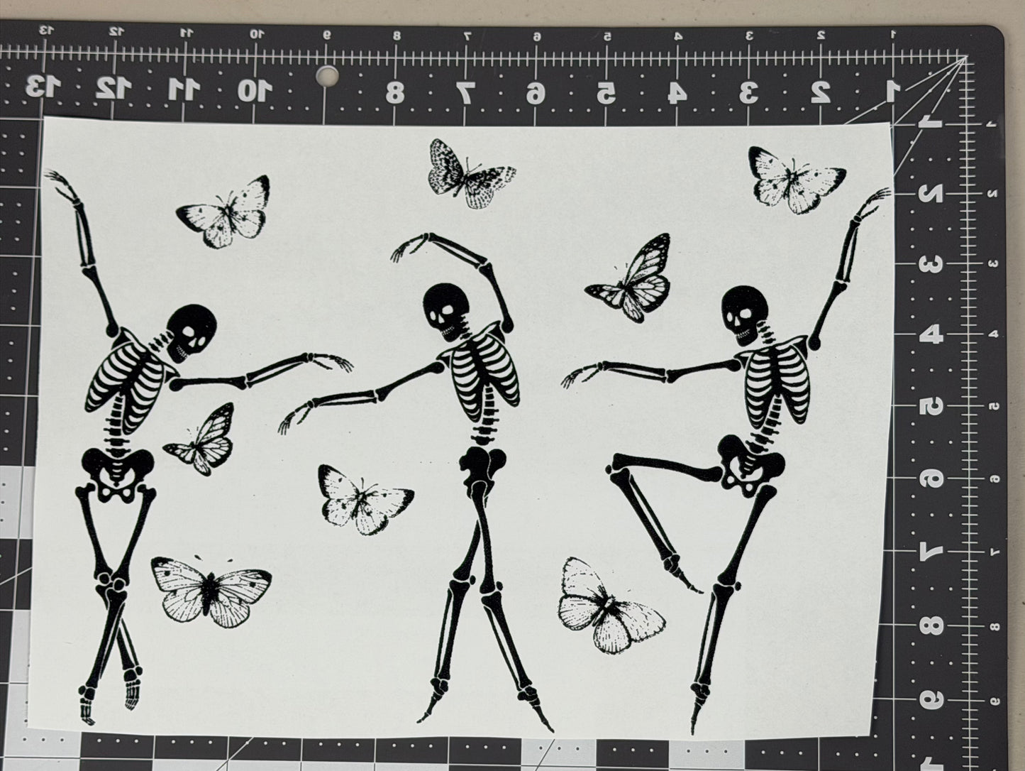 Butterfly Skeletons
